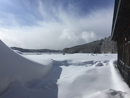 �u��K�΂̏������v ���S�P���z������